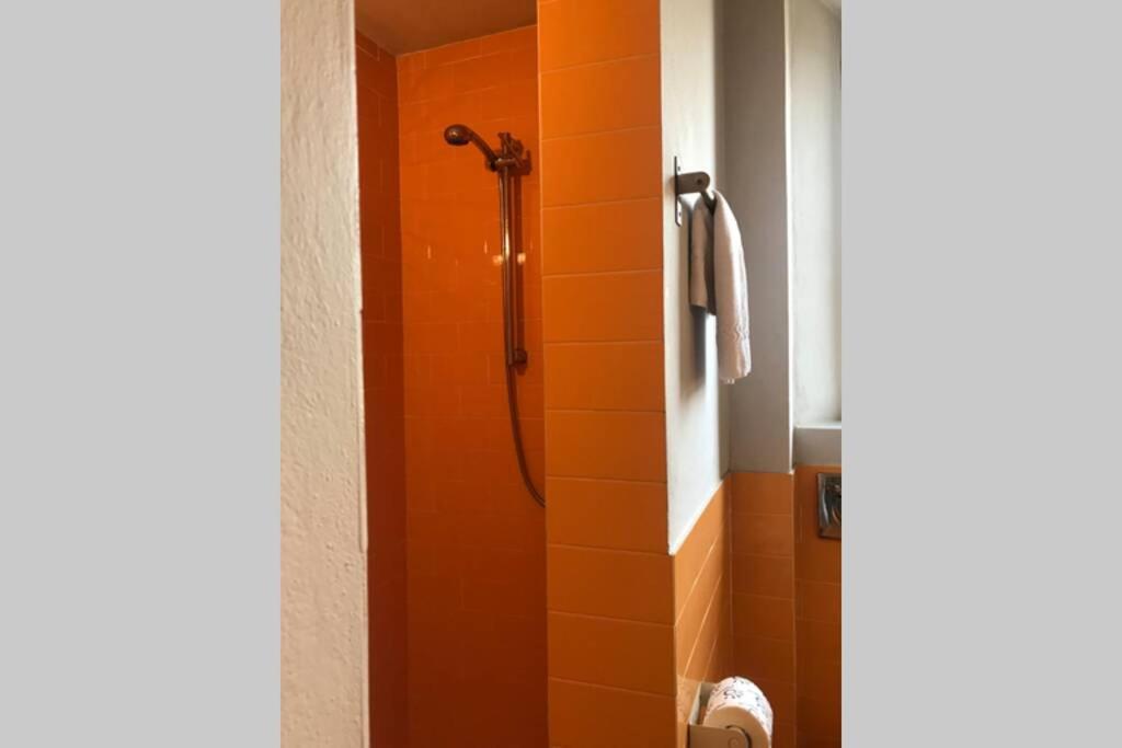 פירנצה Sunny Top Floor In San Frediano מראה חיצוני תמונה